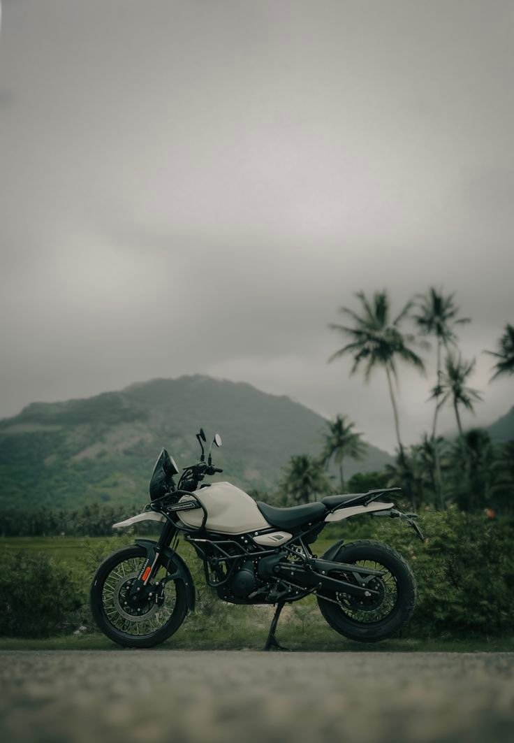 Bike rental Northeast India – forest route