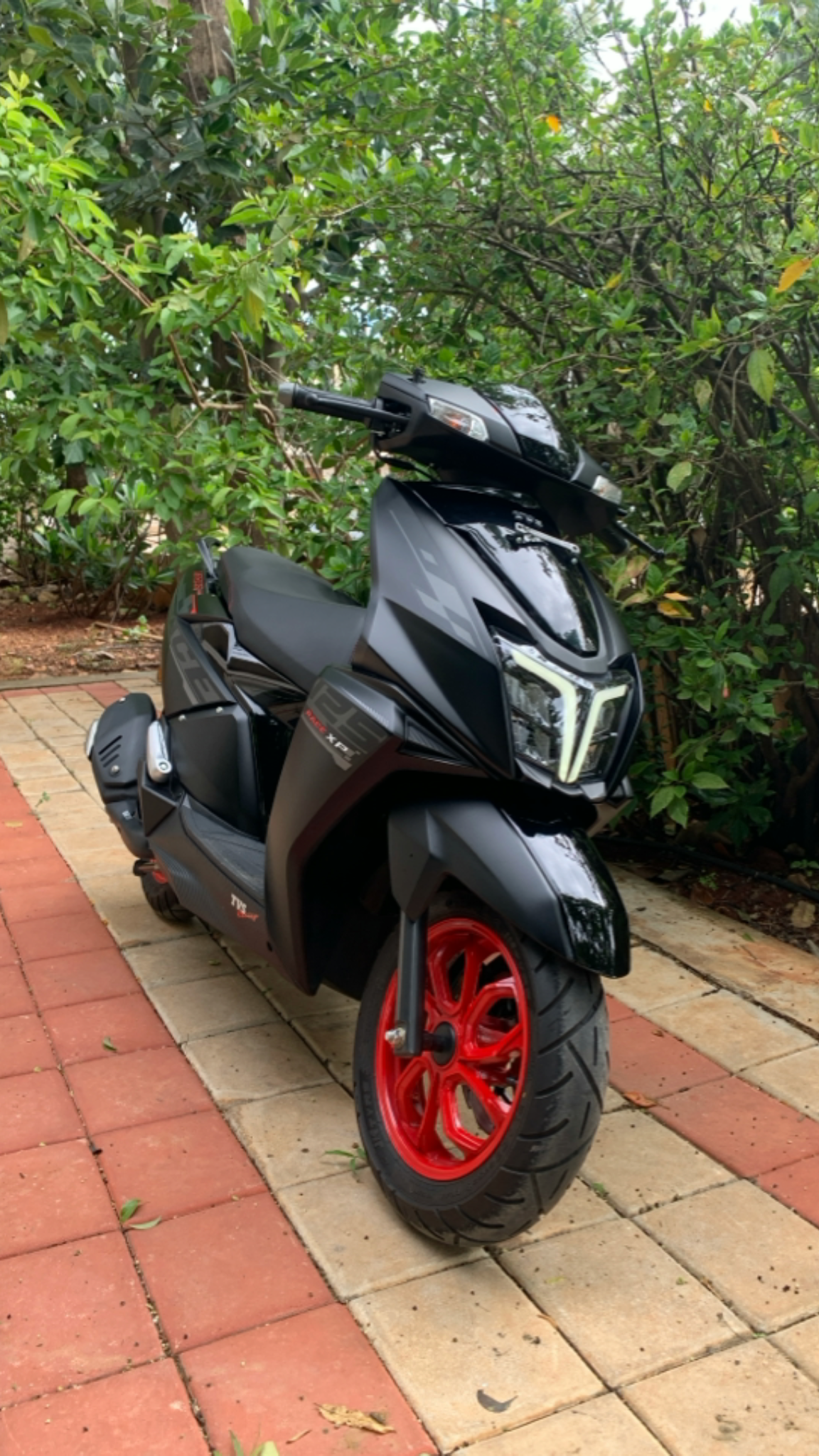 Scooter rental Northeast India – model view